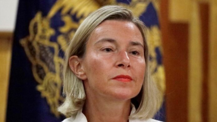 0d7f47c4-7184-4d23-9f4f-af17e35eff7e_w800_h450