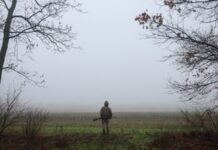 Генштаб ЗСУ повідомляє про 180 боєзіткнень на фронті від початку дня