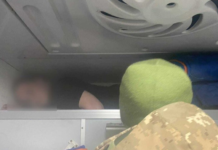 Хованки на кордоні: трьох порушників викрили у спробах незаконної втечі з країни