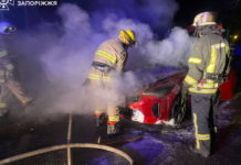 У Запоріжжі спалахнув KIA Stinger: подробиці від надзвичайників