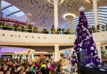 Як працюватимуть ТРЦ Києва на Новий рік: графіки на 31 грудня і 1 січня