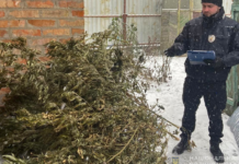У Запоріжжі поліцейські вилучили у містянина 5 кілограмів канабісу