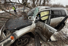 У Кривому Розі Suzuki влетіла у дерево: водія та пасажира госпіталізовано до лікарні