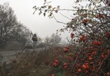 У Силах оборони півдня розповіли про «запеклі бої» за Гуляйполе