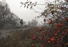 Генштаб ЗСУ заперечив заяви Кремля про окупацію Гуляйполя та Мирнограда