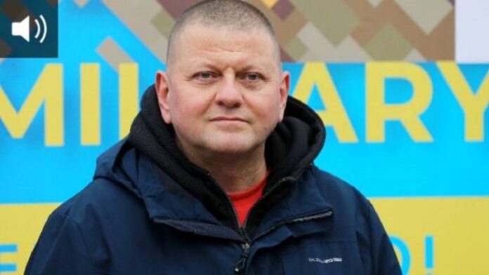 aff4c889-fc03-4286-a823-08dd4a814ce6_w800_h450