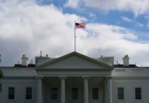 WSJ: США передали Європі кілька планів відновлення України