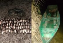 У Нікопольському районі затримали браконьєра з 25 кілограмами незаконного улову