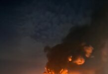 Турецька судноплавна компанія заявила про припинення операцій із Росією