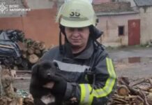 Запорізькі рятувальники дістали цуценя з ями