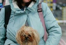 У яких регіонах найбільший попит на житлові ваучери від ВПО: дані Мінрозвитку