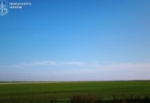 Прокуратура повернула територіальним громадам три земельні ділянки у Кам’янському районі, які були незаконно оформлені у приватну власність