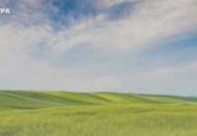 Прокуратура Запоріжжя відновлює право комунальної власності на земельні ділянки