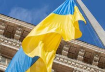 Положення про виконавчий комітет Кам’янської міської ради VІІІ скликання