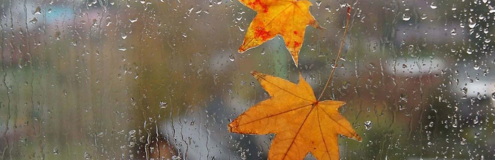 izobrazenie2025-12-01184537314_692dc6345dec8