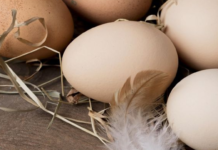 Чому не можна зберігати яйця на дверцятах холодильника: відповідь вас здивує