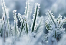 Якою буде погода в Кам’янському 9 грудня: прогноз