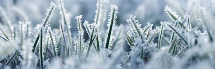 izobrazenie2025-12-09005032183_6937563c29db8