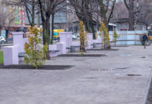 У Кам’янському упорядкували ділянку центрального скверу, де мають побудувати McDonald’s