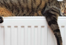 У Кам’янському частина житлових будинків тимчасово залишилися без опалення