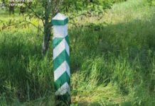 Прокуратура Запоріжжя повернула державі 3,4 га земель лісового фонду