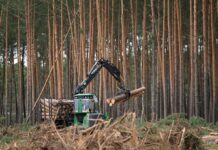 Ліс і метал залишаються в Україні: уряд продовжив обмеження експорту на 2026 рік