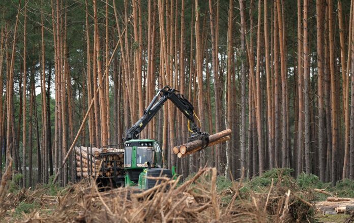 _lisu_gettyimages_1206814672_811e362ecd1bdf946ebce0521c70b27d_1300x820