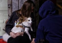 Повітряні тривоги через дрони: які області під атакою