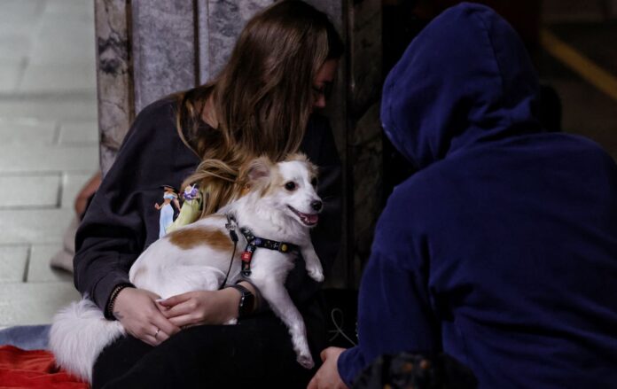 _metro_ukrittya__sobaka___povitryana_trivoga__lito__2025__gettyimages_2218881437_18da308d8a3f1792fce7cf1c16684223_1300x820