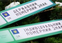 Індивідуальний знак на авто? Чи обов’язково водіям возити з собою звичайний номер