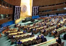 Генасамблея ООН ухвалила резолюцію про дотримання прав людини на ТОТ