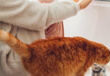 Як зігрітися, коли опалення не працює: простий секрет для обігріву квартири