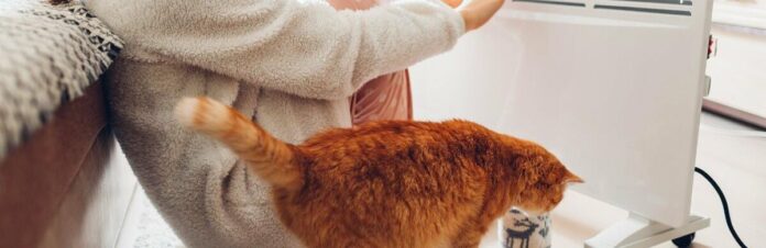 opalennya-kit_6933543cd9e7d