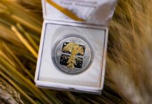 “Дух Різдва”: НБУ представив унікальну срібну монету з діамантом (фото)