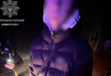 У Кривому Розі виявили порушника, який сів за кермо в стані спʼяніння