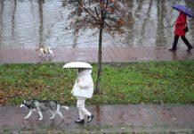 Україну накриють дощі: якою буде погода 3 грудня