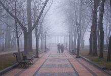 У Києві зранку очікується туман: КМДА нагадує водіям правила руху