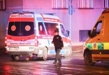 Убивство українки в Чехії: поліція розкрила подробиці розслідування