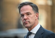 Розміщення військ Європи в Україні: Рютте зробив заяву