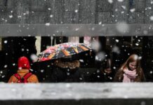 Дощі “замерзли”: де в Україні помітили сьогодні сніг (фото, відео)