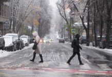 Негода вдарила по Прикарпаттю та Рівненщині: десятки сіл залишились без світла