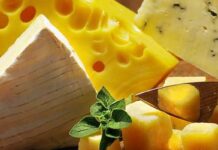 Менше жиру, більше користі: рейтинг найкращих сирів для новорічного меню