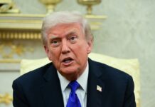 Трамп заговорив про вибори в Україні та Крим: гучні заяви з інтерв’ю Politico