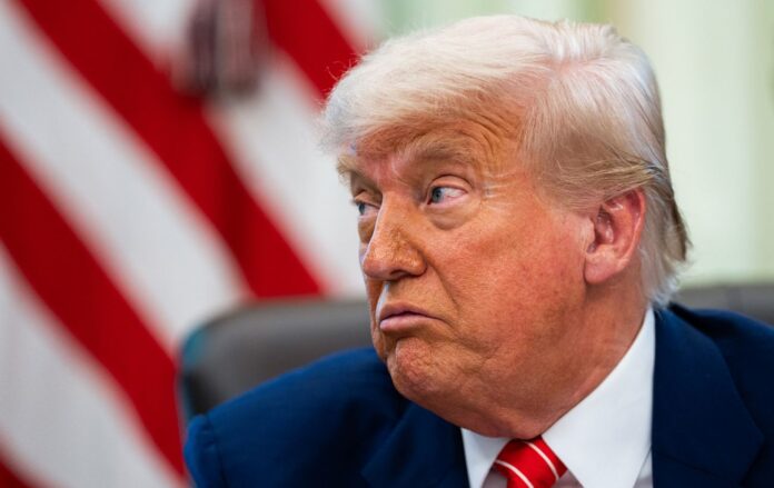 _tramp_gettyimages_2217126228_d06ef9d788392a080cb2807c88fb7ff4_1300x820