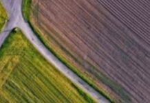 У Запоріжжі прокуратура через суд конфіскувала земельну ділянку на користь держави