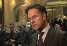 Рютте каже, що обговорив з Трампом ситуацію в Гренландії і чекає на зустріч у Давосі