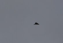 Війська РФ атакували енергетичну інфраструктуру Миколаївщини, тяжко поранена жінка – ОВА