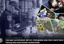 Поліція Запоріжжя: за 2025 рік вилучено понад 500 кілограмів наркотиків