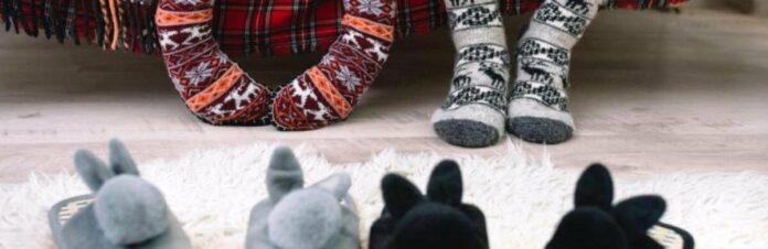 2147955946-optimized_6979283d4eb57