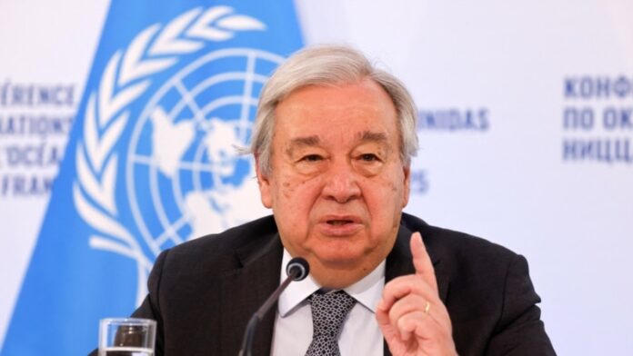 55737485-039c-43b5-8b72-5d055d413ef4_w800_h450